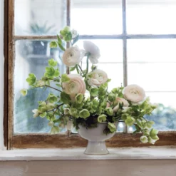 5.25"H X 7" OFF-WHITE CERAMIC JULIAN COMPOTE -Quality Wholesale Shop 525h x 7 off white ceramic julian compote 2