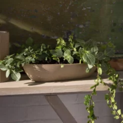 3.75"H X 14"LONG X 5.5"W TAN/BROWN LONG AND LOW MORRIGAN TROUGH -Quality Wholesale Shop accent decor 375h x 14long x 55w tan brown long an 2