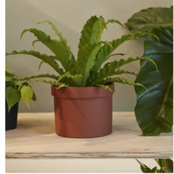 5.75”H X 7.25” TERRACOTTA CERAMIC KLAMATH POT -Quality Wholesale Shop accent decor 575h x 725 terracotta ceramic klamath 1