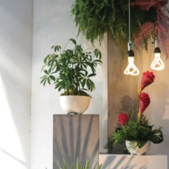 5”H X 9” WHITE CERAMIC TALIAH BOWL -Quality Wholesale Shop accent decor 5h x 9 white ceramic taliah bowl 2