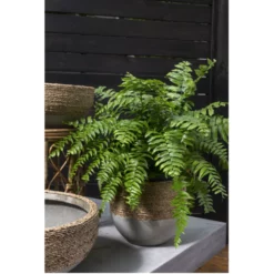 9.25”h X 9” CONCRETE REED POT WITH NATURAL ROPE -Quality Wholesale Shop accent decor 925h x 9 concrete reed pot with natur 2