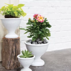 9"H X 9.75" WHITE CERAMIC BENOIT COMPOTE -Quality Wholesale Shop accent decor 9h x 975 white ceramic benoit compote 3