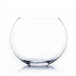 Clear Med Moon Vase H-10" X D-12"