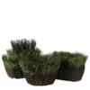 SET OF 3 VINE AND GREEN MOSS PLANTERS, Reg $27.99 -Quality Wholesale Shop set of 3 vine and green moss planters reg 2799