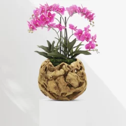 Wood Pot D-14"" -Quality Wholesale Shop wood pot d 14 1