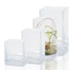 10"H X 6" X 4" CLEAR GLASS RECTANGLE CASE -Quality Wholesale Shop 10h x 6 x 4 clear glass rectangle case