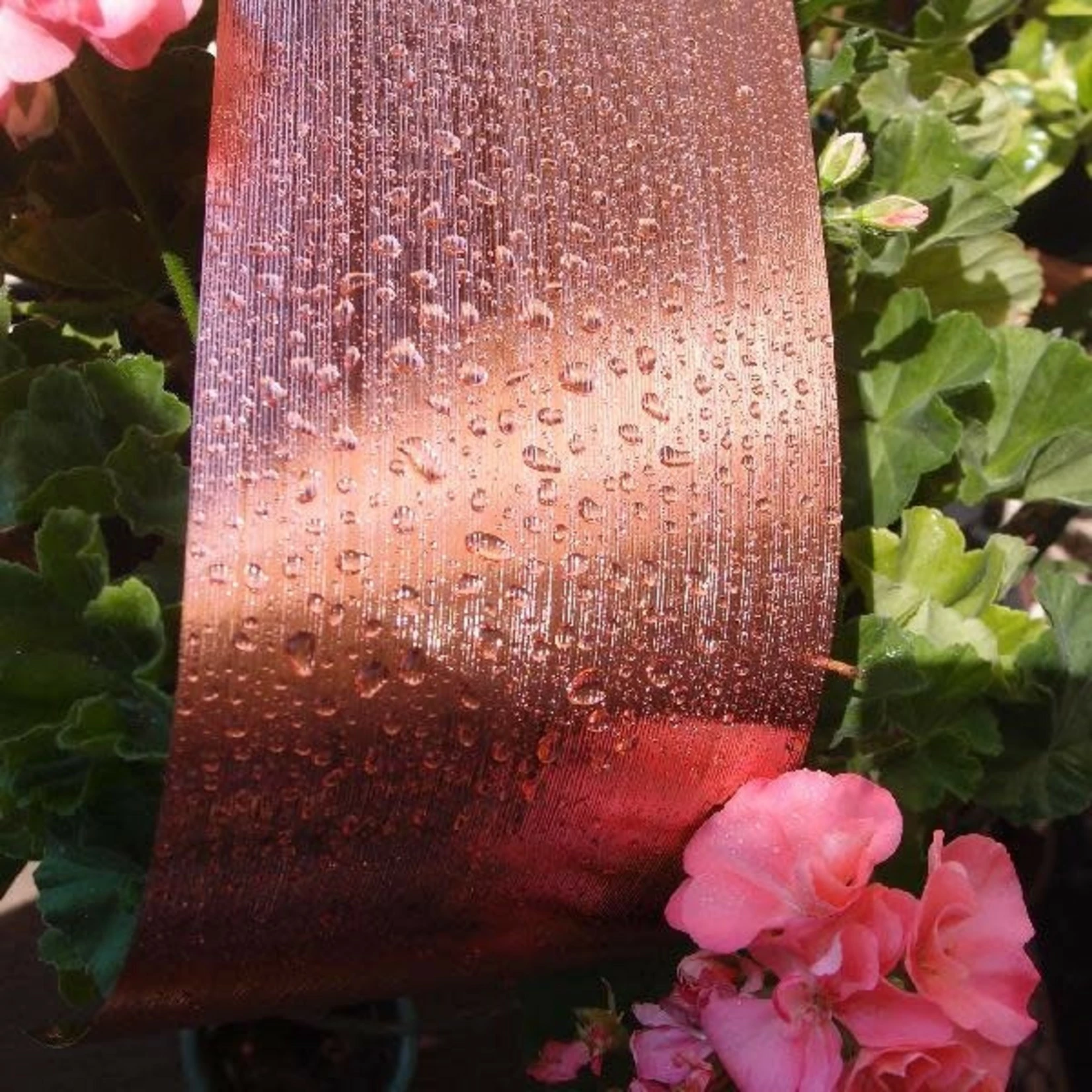 4.25’’ MET ROSE GOLD LEAF ASPIDISTRA 4 4.25’’ MET ROSE GOLD LEAF ASPIDISTRA - Image 2
