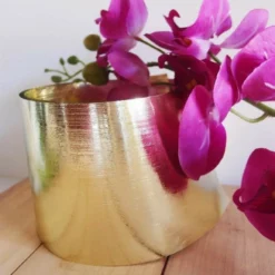 4.25’’ X 50 YDS GOLD ASPIDISTRA -Quality Wholesale Shop 425 x 50 yds gold aspidistra 3