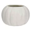 4.5”OPEN X 7”D MATTE WHITE PUMPKIN -Quality Wholesale Shop 45open x 7d matte white pumpkin