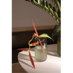 10”H X 5” CLEREL GLASS VASE (AD) -Quality Wholesale Shop accent decor 10h x 5 clerel glass vase ad 2