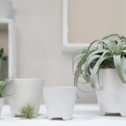 6.75”H X 6.5” RUTH POT (AD) -Quality Wholesale Shop accent decor 675h x 65 ruth pot ad 1