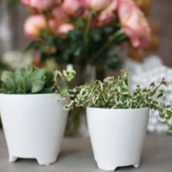 6.75”H X 6.5” RUTH POT (AD) -Quality Wholesale Shop accent decor 675h x 65 ruth pot ad 2