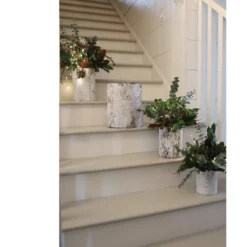 8”h X 6” WHITE BIRCH CYLINDER -Quality Wholesale Shop accent decor 8h x 6 white birch cylinder 1