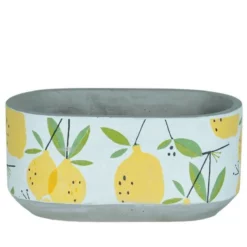 OVL LEMON DSN CMT 8.25X 4.25''