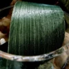RIBBON LEAF ASPIDISTRA 4’’ X 50YD DK GREEN -Quality Wholesale Shop ribbon leaf aspidistra 4 x 50yd dk green