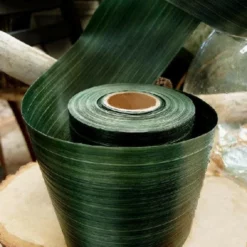 RIBBON LEAF ASPIDISTRA 4’’ X 50YD DK GREEN -Quality Wholesale Shop ribbon leaf aspidistra 4 x 50yd dk green 3