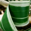 RIBBON LEAF ASPIDISTRA 4.25’’ X 50Y GREEN -Quality Wholesale Shop ribbon leaf aspidistra 425 x 50y green